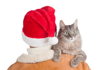 Back view of man in Santa Claus hat with gray cat isolated on white background