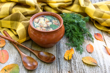 Fragrant autumn chicken soup with croutons and herbs in a clay pot on the background of a soft plaid scarf.