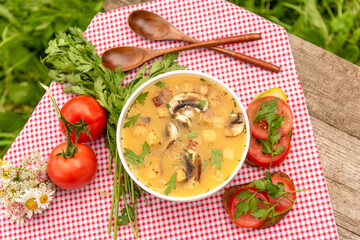 Summer mushroom soup in nature with tomatoes and herbs. Top view.