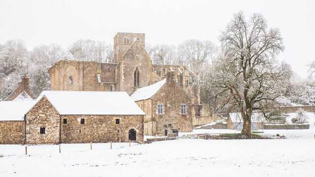 Abbaye de Hambye sous la neige (Manche)