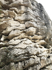 Rock in forest