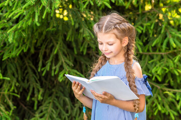 Fototapeta premium A little girl with pigtails reads a book in the Park in the fresh air against the background of a green Christmas tree. Reading books in nature.