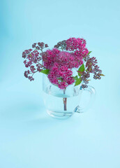 bouquet of small purple flowers with leaves in a transparent vase on a blue background. Beauty, freshness, a bouquet of delicate flowers. Holidays, postcards, place for inscriptions.