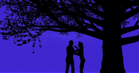 Boy proposes the girl and kisses her under a tree sky full of stars