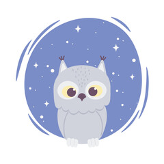 cute cartoon animal adorable wild character owl