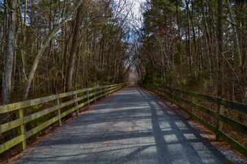 Biker follows a fence-lined crushed stone path bridge  through mature hardwood trees along the Junction & Breakwater Trail at Cape Henlopen State Park, Lewes, Delaware