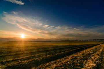 Setting sun in a spring field
