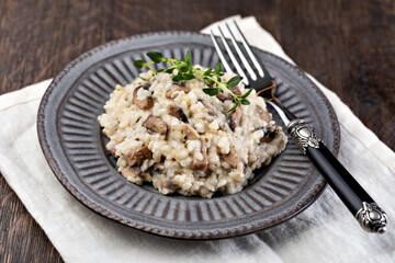 Mushroom risotto on plate, close up view