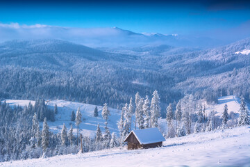 Majestic frozen winter picture