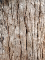 Old wooden floor for graphic design or wallpapers