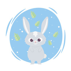 cute cartoon animal adorable wild character little rabbit