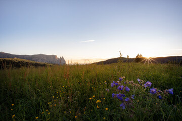 Schlern Dolomiten - Südtirol