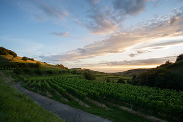 Weinbaugebiet Kaiserstuhl, Hochschwarzwald - Baden-Württemberg