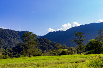 Fototapeta premium Buen día