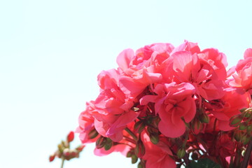 Weiß ist der Himmel heute.