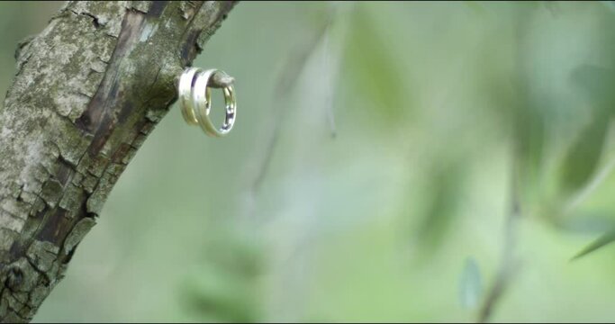 Wedding rings on a tree