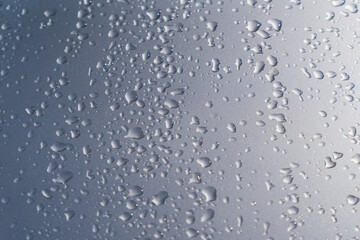 Background water drops. Natural pattern of rain drops.