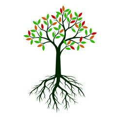 Fototapeta premium Shape of Tree with colour leaves and Roots. Vector outline Illustration. Plant in Garden. EPS file.