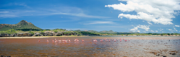 Washington Slagbaai National Park © John Anderson