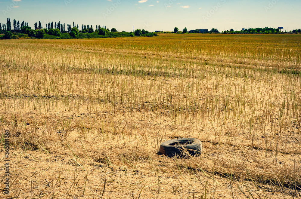 Wall mural Rubber tire on a harvested field in sunny day