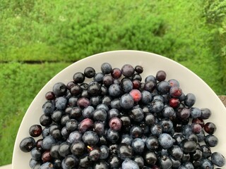 Many blueberries are on a white plate, laid on the balcony below, see green grass.