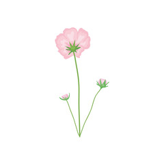 branch with pink flowers icon, detailed style