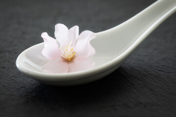 Obraz na płótnie Canvas white tasting spoon with pink flower on dark background. appetizer spoon.