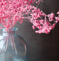 Still life. Little pink flowers in a glass bottle on a gray background - 365012305