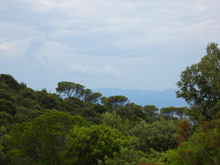 Paesaggio