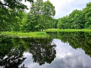 lake in the woods