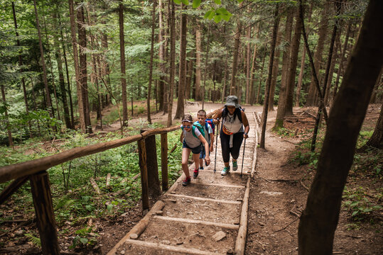 Diverse people hiking up trail stairs in a forest