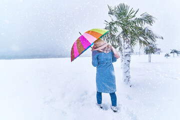 Woman with a colored umbrella among evergreen palm trees covered white snow sneaks through snowdrifts in a blizzard. Cold unusual weather in tropic in winter