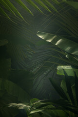 fragment view of nice mist green tropical jungle