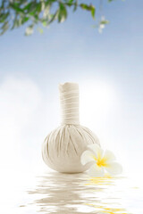Obraz na płótnie Canvas close up view of Herbal massage Compress oncolor back. 