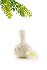 Fototapeta na wymiar close up view of Herbal massage Compress on white back. 