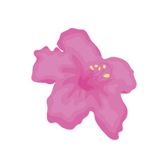 pink hibiscus flower icon, detailed style