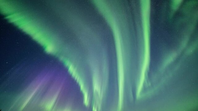 A magnificent light show on the night sky. Northern light above Alta, Norway. Lights are dancing in the sky, changing shapes and colours, greens, pinks and purples.