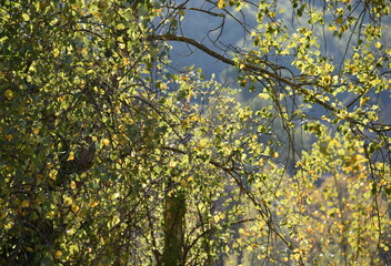 The soothing air changes its colors every second in Tuscany Italy