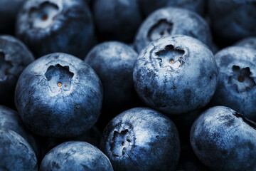 Blueberries close-up in full screen with dewdrops.