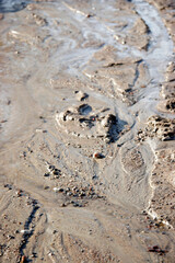 Water Flowing Through Mud
