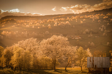 Spring Slovakia landscape. Nature fields with blooming cherries. Unique ecological land management. Polana region, Hrinova, Slovakia Europe. © Zedspider