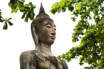 
bronze buddha statue under the trees in thailand