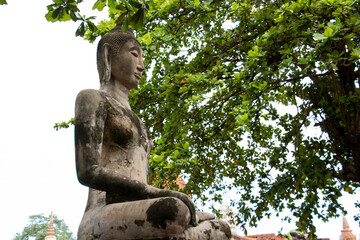 
bronze buddha statue under the trees in thailand