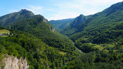 Fototapeta na wymiar River in the mountains, landscape, top view. Wild nature. Mountains, green forest. Tourist route. Montenegro.