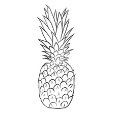 Black-white illustration of pineapple.