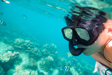 Man scuba diving explore coral and fish in lipe sea