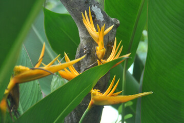 
plants, flowers, red, purple, white, pink