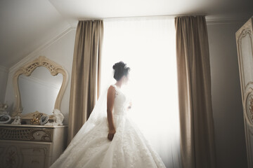 Fototapeta premium Gorgeous bride in robe posing and preparing for the wedding ceremony face in a room