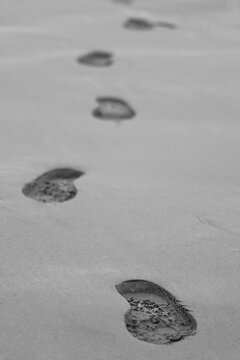 A set of shoe prints on the beach. The shape of the sole is clearly visible in the grains of the sand. The vertical image shows the path the person has walked.The monochrome aspect gives it a sad mood