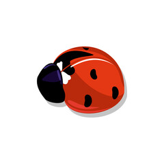 Red ladybug Vector Illustration. Funny ladybug on a white background. Insects or beetles. Ladybug icon for web, infographics and creative design.